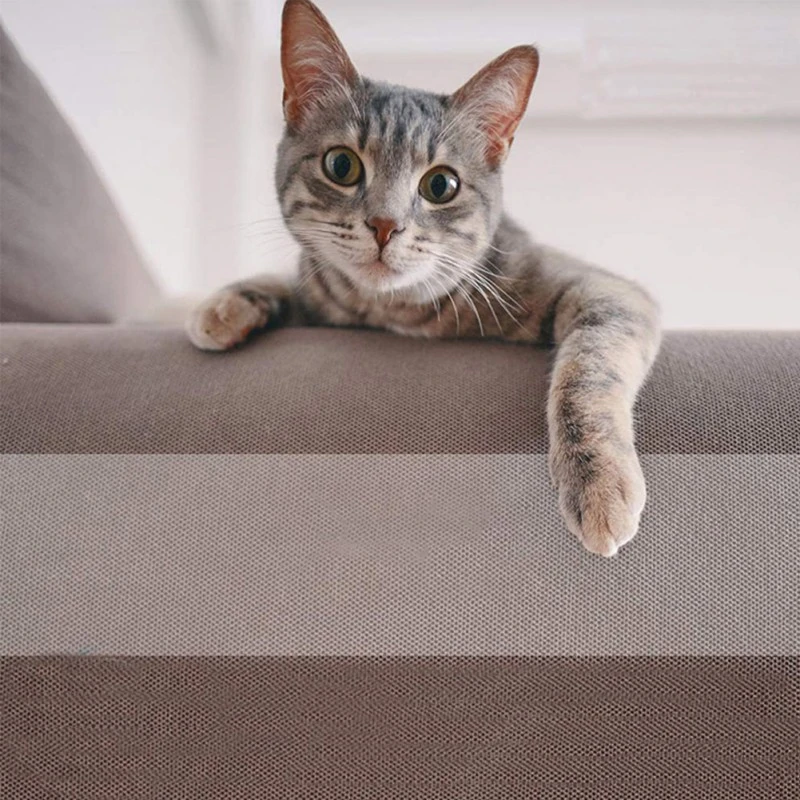 scratch tape for cats