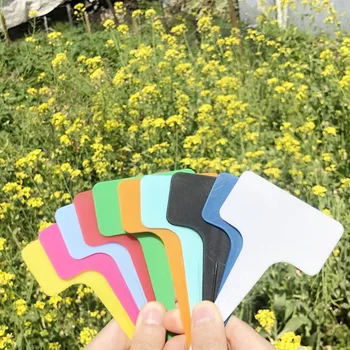 

100pcs PP Plant Flower Labels Yard Plant Tabs Nursery Tool Gardening Sign 10x6cm
