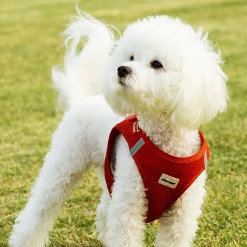 

Cute Creative Cartoon Small Dog Collar And Leads Chain Pet Charging Adjustable Pet Cat Collars Coleira Cachorro Collar OO50XQ