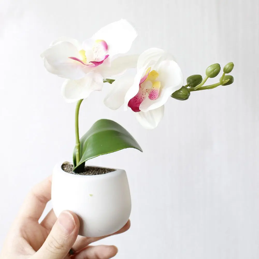 H74373815a9ae43159b40818ee6c27f8fe.jpg?width=1000&height=1000&hash=2000