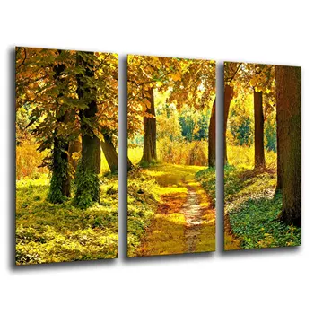 

Autumn forest Landscape Nature Sunset, photo print on wood, modern picture decorative 26043