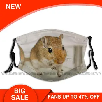 

Hamster Mouth Face Mask Gerbil Cuteness Facial Mask Adult Pretty Kawai with 2 Filters Mask