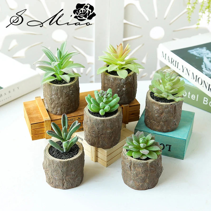 12030874371_98600638