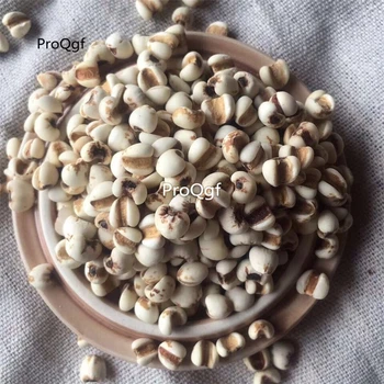 

Ngryise 8000Pcs A Set coix coix