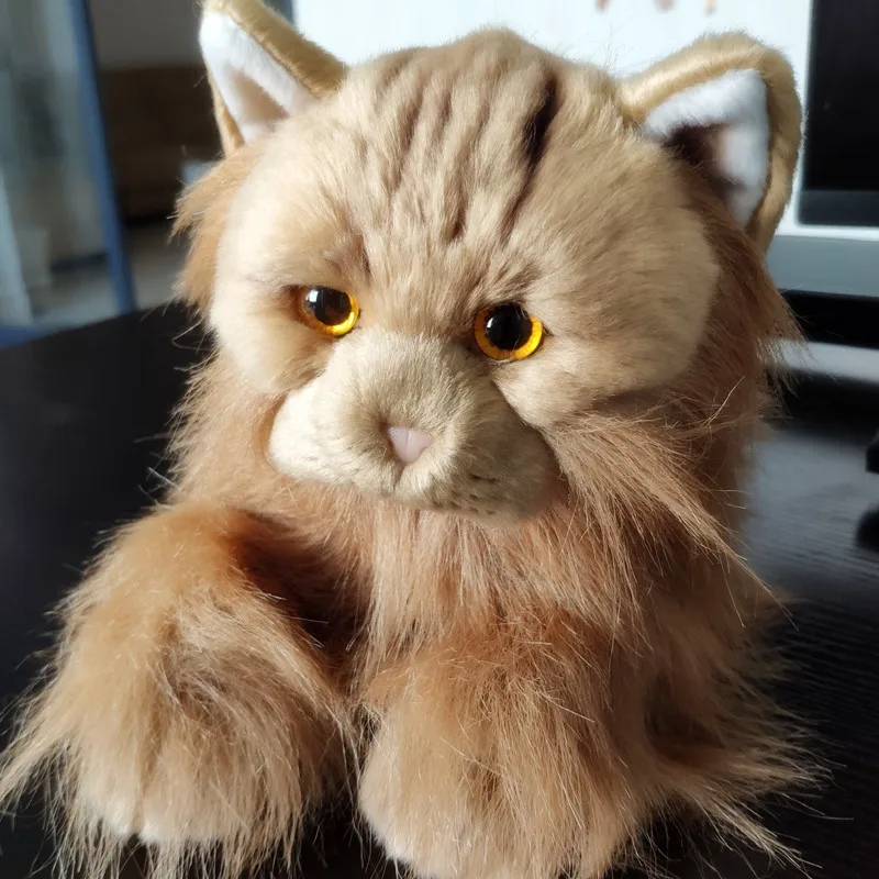 QQ图片20191024161555