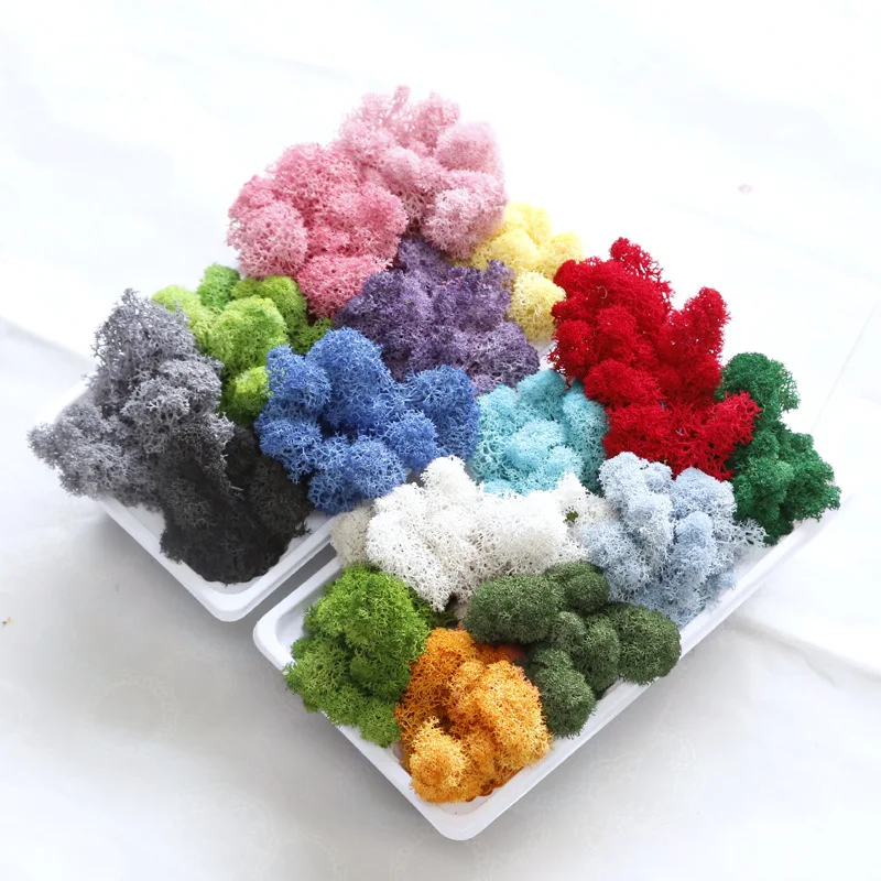 

High Quality Artificial Green Plant Immortal Fake Flower Moss Grass Living Room Decorative Wall DIY Home Decor Micro Landscape