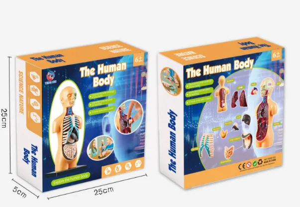 Human body STEM game educational poster