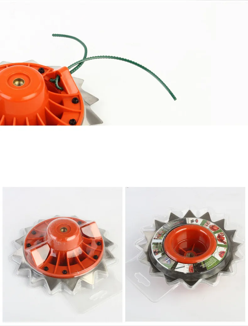 11613836066_297358734