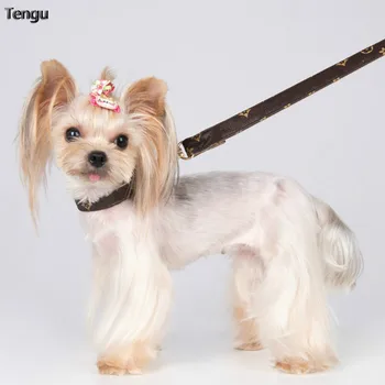 

Brown pet leather dog collar and leash with unique pattern design. A full set of accessories suitable for cat to manage behavior