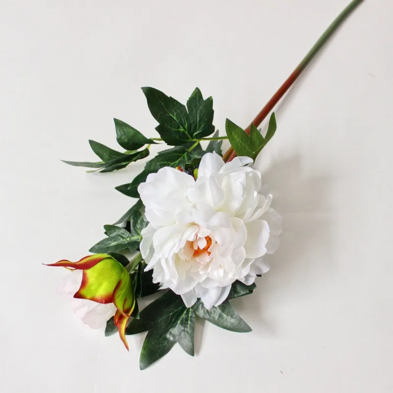 9381170130_2132096240