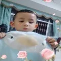 Hababy333 Store