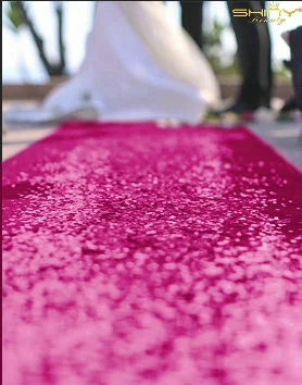 25FTX4FT Fuchsia Aisle Runners Outdoor Wedding Sequin Fabric Aisle Runner for Wedding Aisle Carpet-M1024