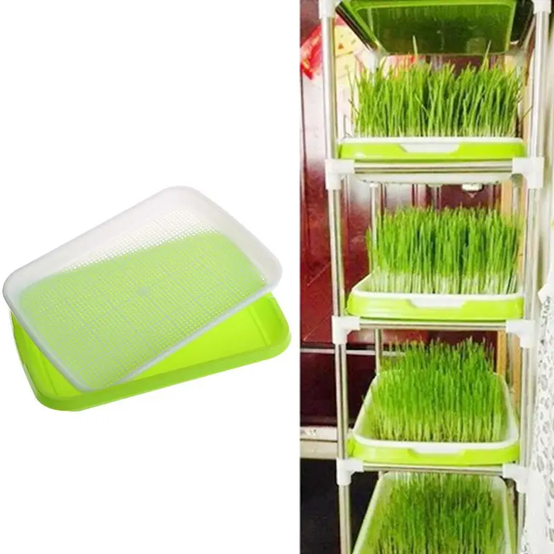 

Seed Sprouter Tray Double-layer Soilless Culture Seeds Hydroponic Nursery Tray