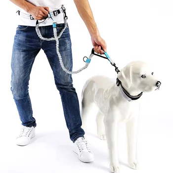 

Summer New Style Pet Supplies Cat Dog Hand Holding Rope Dog Running Dog Leash and Waistband