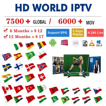 

7500 Live Europe IPTV Subscription UK German Arabic Dutch Sweden Poland Portugal Smart TV M3U IPTV