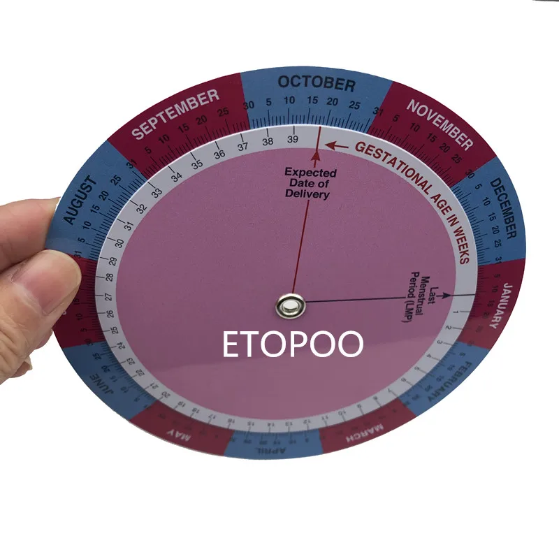 Gestation Calculator Wheel for Pregnancy Expected Date of Birth