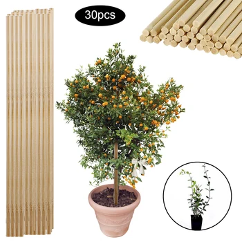 

30pcs Wooden Bamboo Plant Sticks Flower Canes Support Garden Plants Grow Stands Household Garden Bonsai Gardening Tool