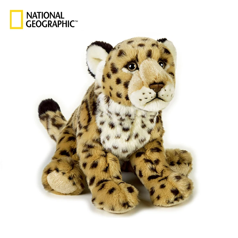 Гепард Купить Животное Цена