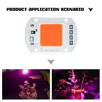

COB Chip Light Lens Reflector Integrated High Brightness LED COB Chip COB Light 20W/30W/50W 1Set DIY Source Full Spectrum