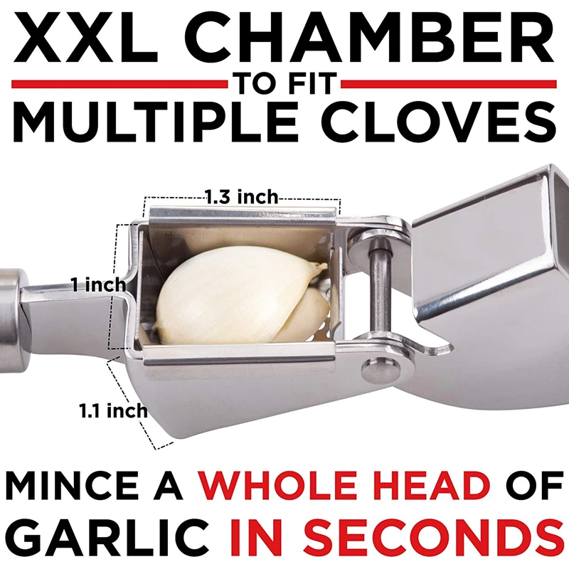 Stainless Steel Garlic Press Kit 2