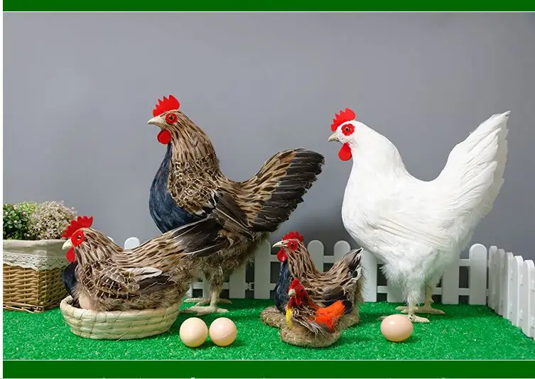 Имитация курицы модель животного стоящая Курица Перо игрушка кукла Ремесла образование дисплей фотография украшение супермаркетов реквизит