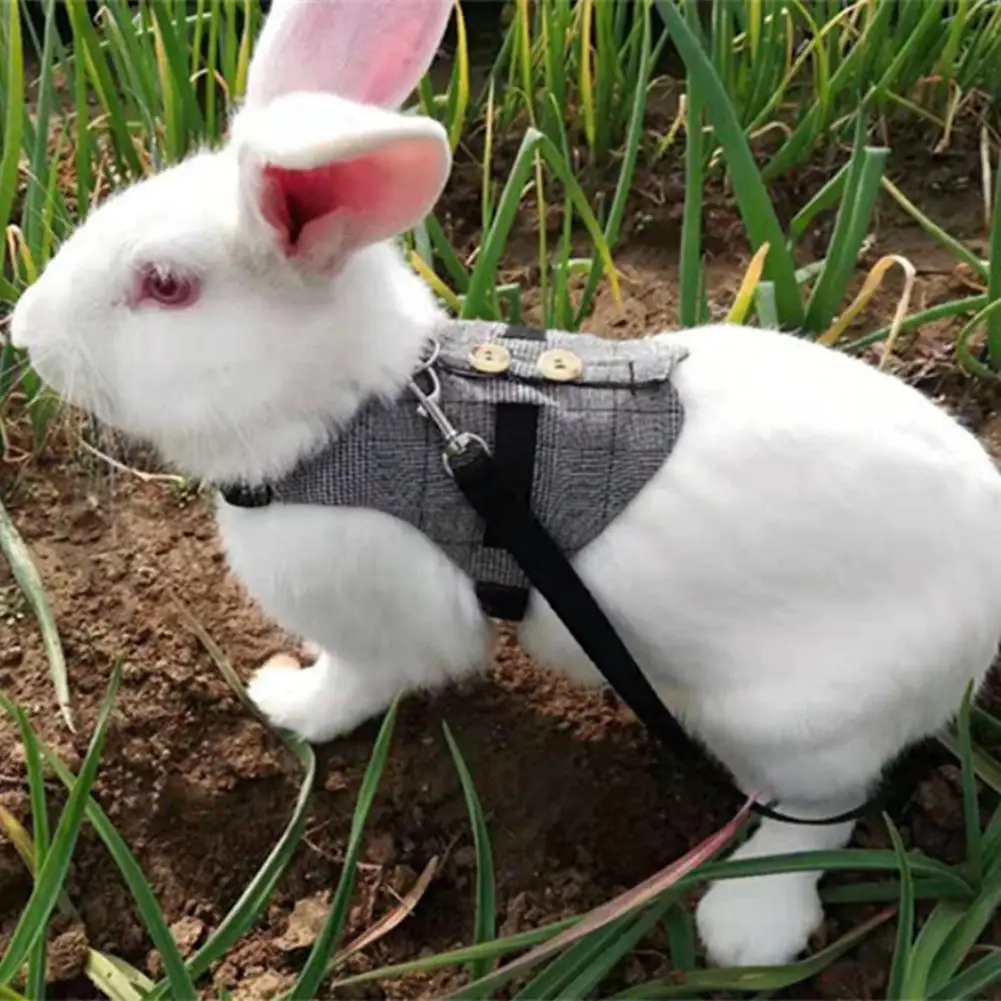 XS Size Mogoko 2 Pcs Cute Rabbit Harness and Leash Set Adjustable Bunny Vest Dress with Lead for Ferret Guinea Pig Kitten Small Animals 
