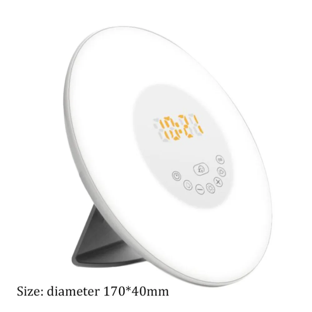 ZK17289002-S-2-1