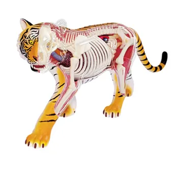 

4D Master DIY Assemble Arts Sculpture Animal Tiger Dissected Statue Plastic Craft Decorations For Home R3659