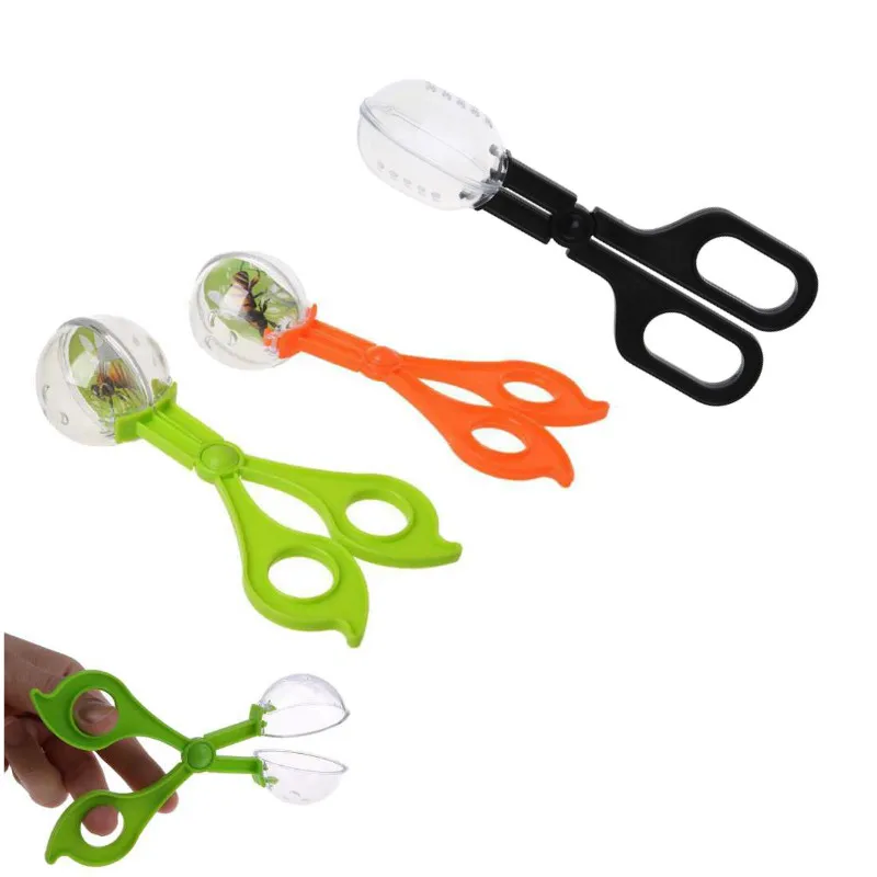 Terrario para reptiles lagartos pinzas de plástico, herramienta de alimentación para elevación de mascotas, Clip, planta escolar, herramienta de estudio de biología de insectos