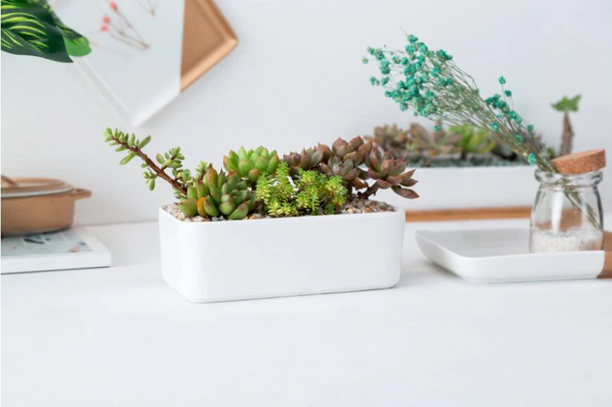 QQ截图20190814103301