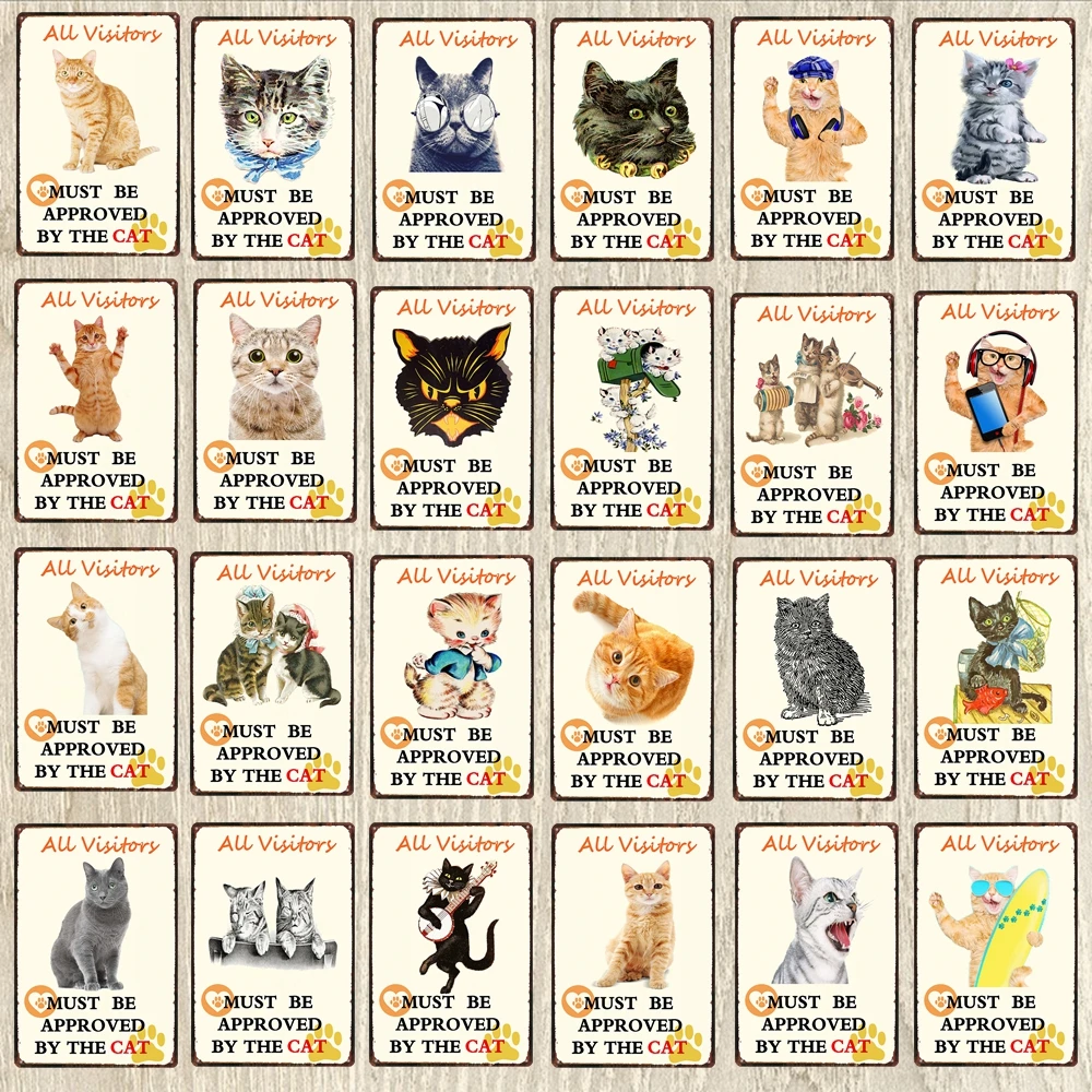 猫大店主图1