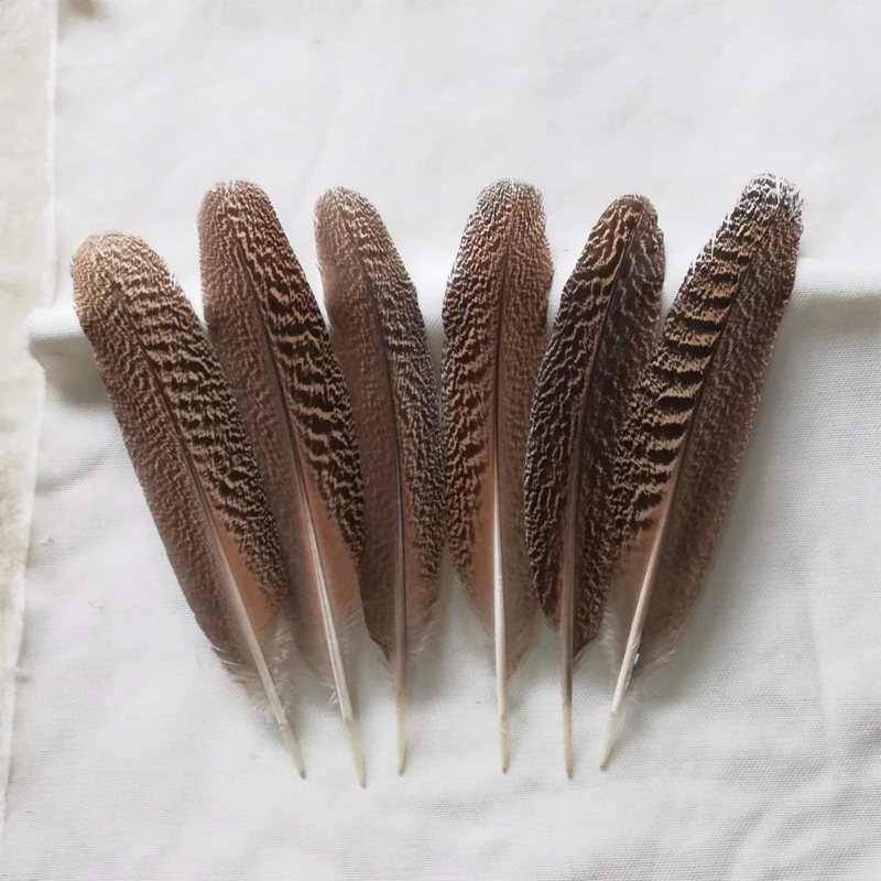

10Pcs/Lot!12-14inches Large Mottled Peacock Wing Quill Feathers for Craft Millinery Fly Fishing,Home Party Decoration Plumas
