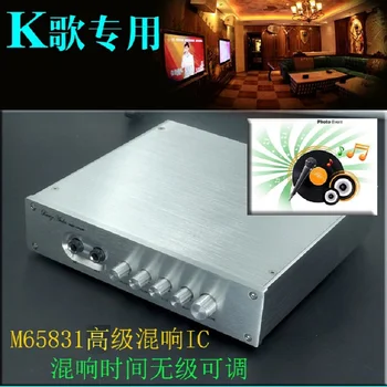 

WEILIANG AUDIO M65831 karaoke preamplifier
