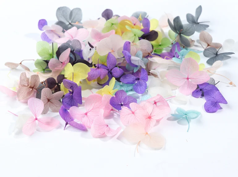 QQ截图20200215145205