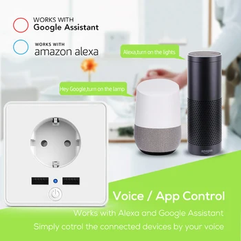 

Remote Control Smart Home Works Dual USB Port Wall Socket Electric Power Monitor APP Remote Control Home Socket