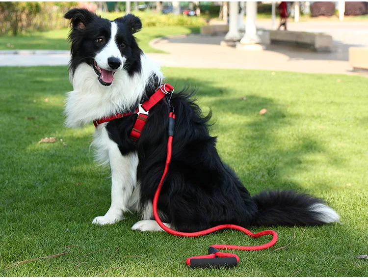 

Adjustable Soft Breathable Safety Vest Strap Leashes for Small Middle Large Dog Chest Strape Harness Summer Breakaway Harness