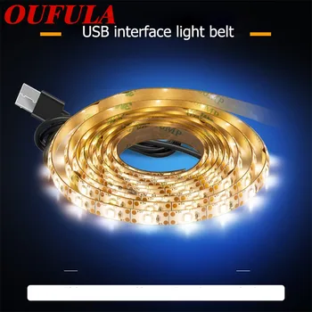 

AOSONG LED Light String With Waterproof USB 2835 Patch Soft Wardrobe Bedroom Decoration