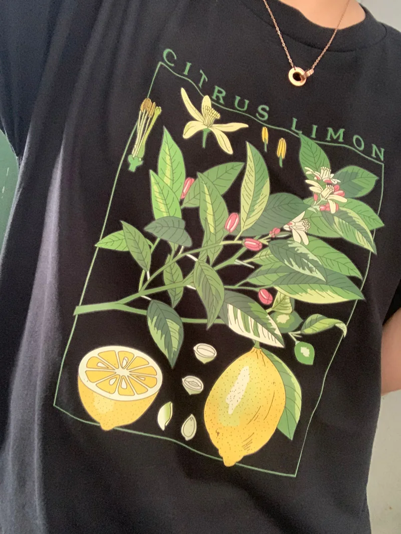 3-CITRUS LIMON-2