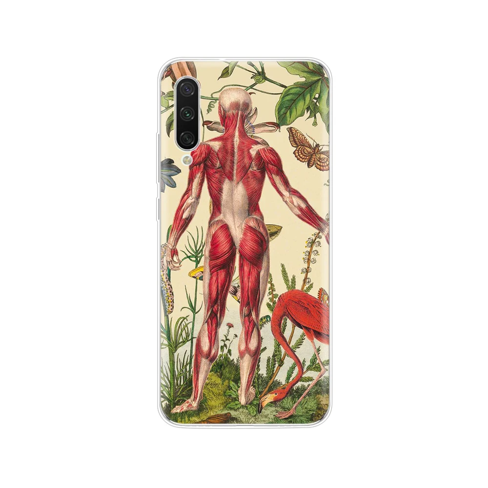 34532 Чехол для Xiaomi mi A3, чехол, полная защита, Мягкий ТПУ силиконовый чехол на заднюю панель для Xio mi A3, бампер, чехол, окрашенный чехол, сумки - Цвет: 34532