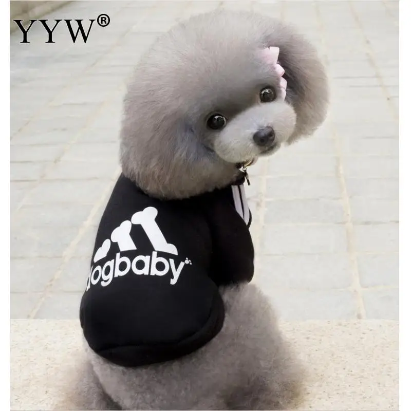 black Одежда для маленьких собак, одежда для маленьких собак, Ropa Perro, теплая одежда, жакеты для собак, одежда для щенков, толстовки для чихуахуа - Цвет: black