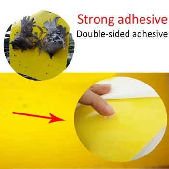 

20pcs Strong Flies Traps Bugs Sticky Board Catching Aphid Insects Killer Pest Control Whitefly Thrip Leafminer Glue Sticker