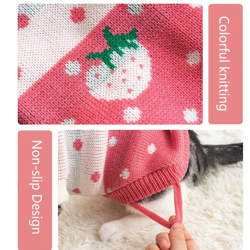 cat dog sweater03