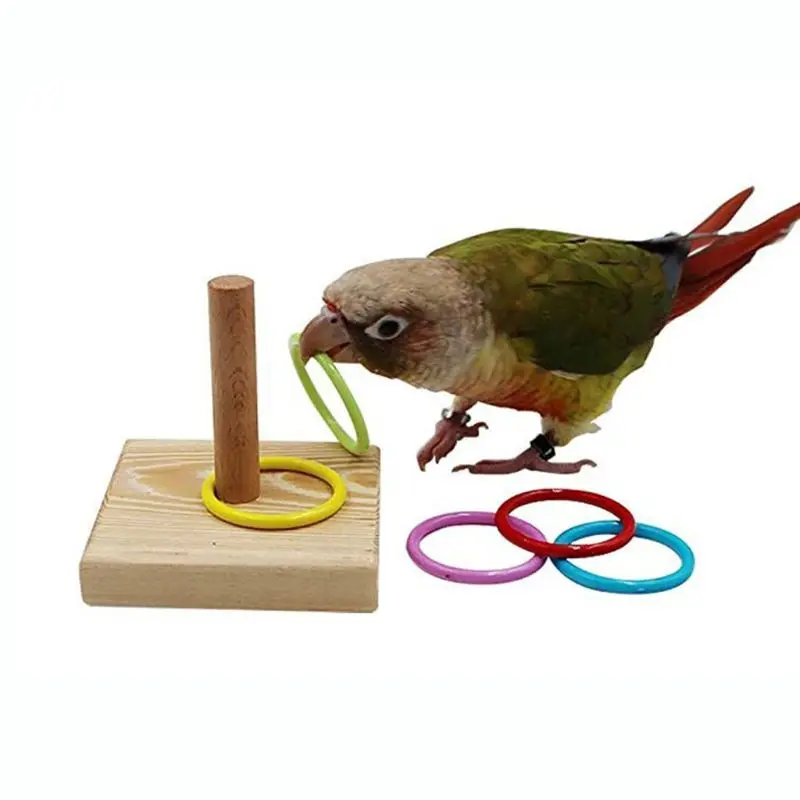 Wooden Bird Toy Parrot Platform Plastic Ring Intelligence