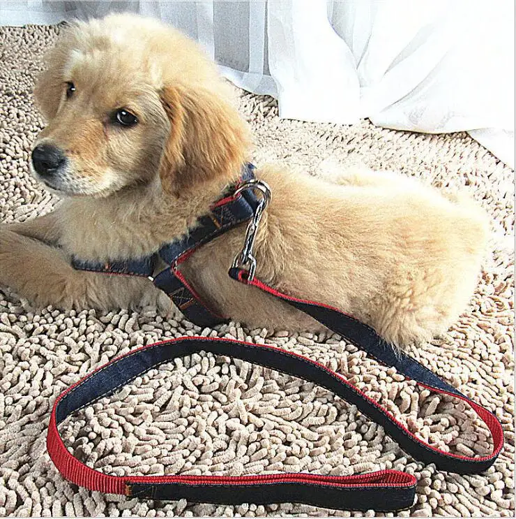 

Dog Hand Holding Rope Dog Chain Supplies Vest Style Pet's Chest-back Hand Holding Rope Elasticity Hand Holding Rope for Making