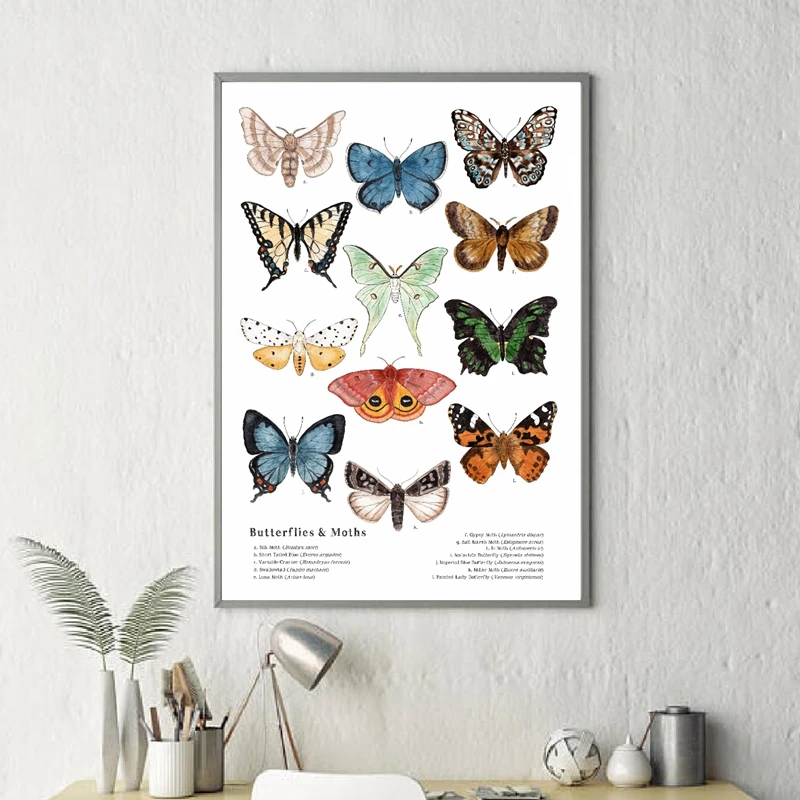 Butterflies-And-Moths-Canvas-Art-Prints-Insect-Nature-Art-Canvas-Painting-Wall-Picture-Educational-Poster-Kindergarten (3)