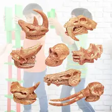 

Funny Collection High Simulation Dinosaur Tooth Skull Model for Schools Dinosaur Tooth Skull Dinosaur Skull