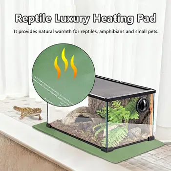 

Reptile Waterproof Pet Heating Pad Seedling Insulation Pad PVC Material Heating Cushion Safe And Constant Temperature In Stock