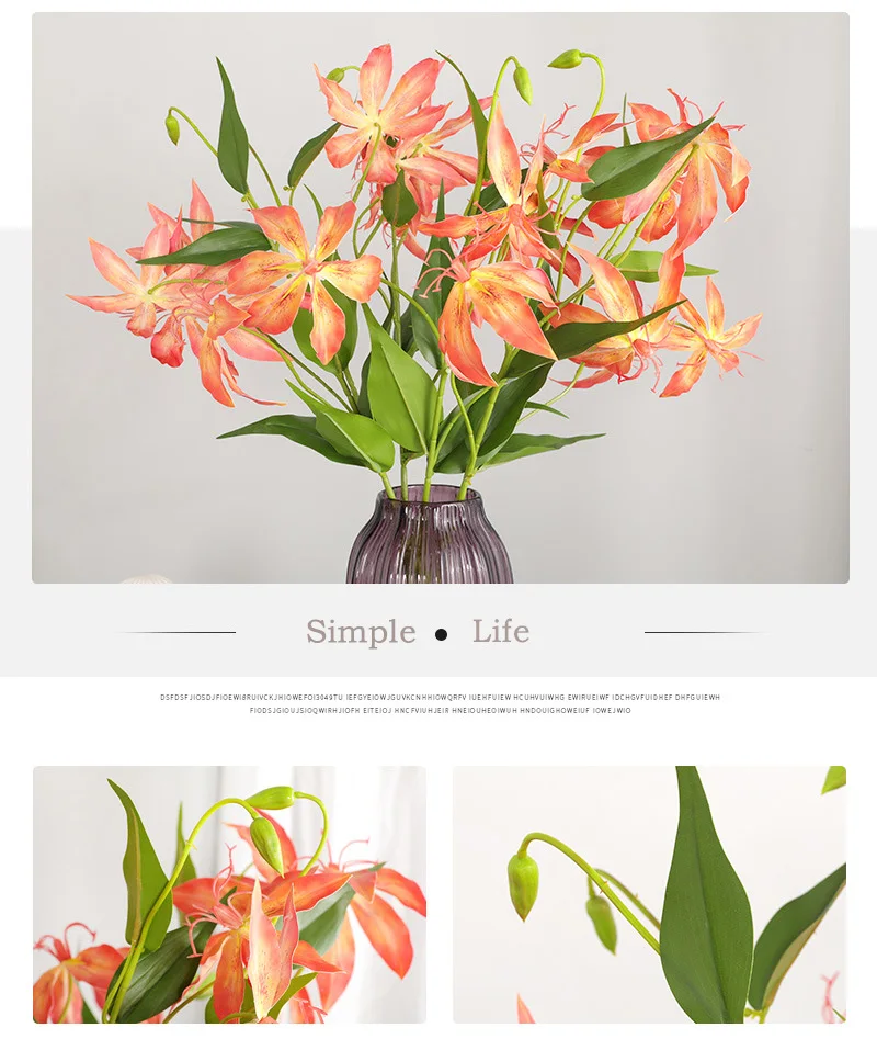 13e50119-6d6c-4682-b727-9f243126aa00