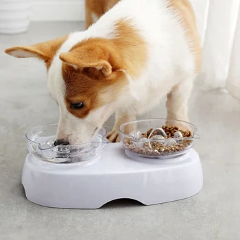 

Plastic Cat Feeder Bowls Neck Protection Dish 15 Degree Tilted Feeder Double Bowls Water Bowl And Food Maze Bowl