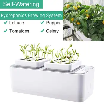

Hydroponic Indoor Herb Garden Kit Smart Multi-Function Growing kit For Flower Vegetable Cultivation Plant Growth